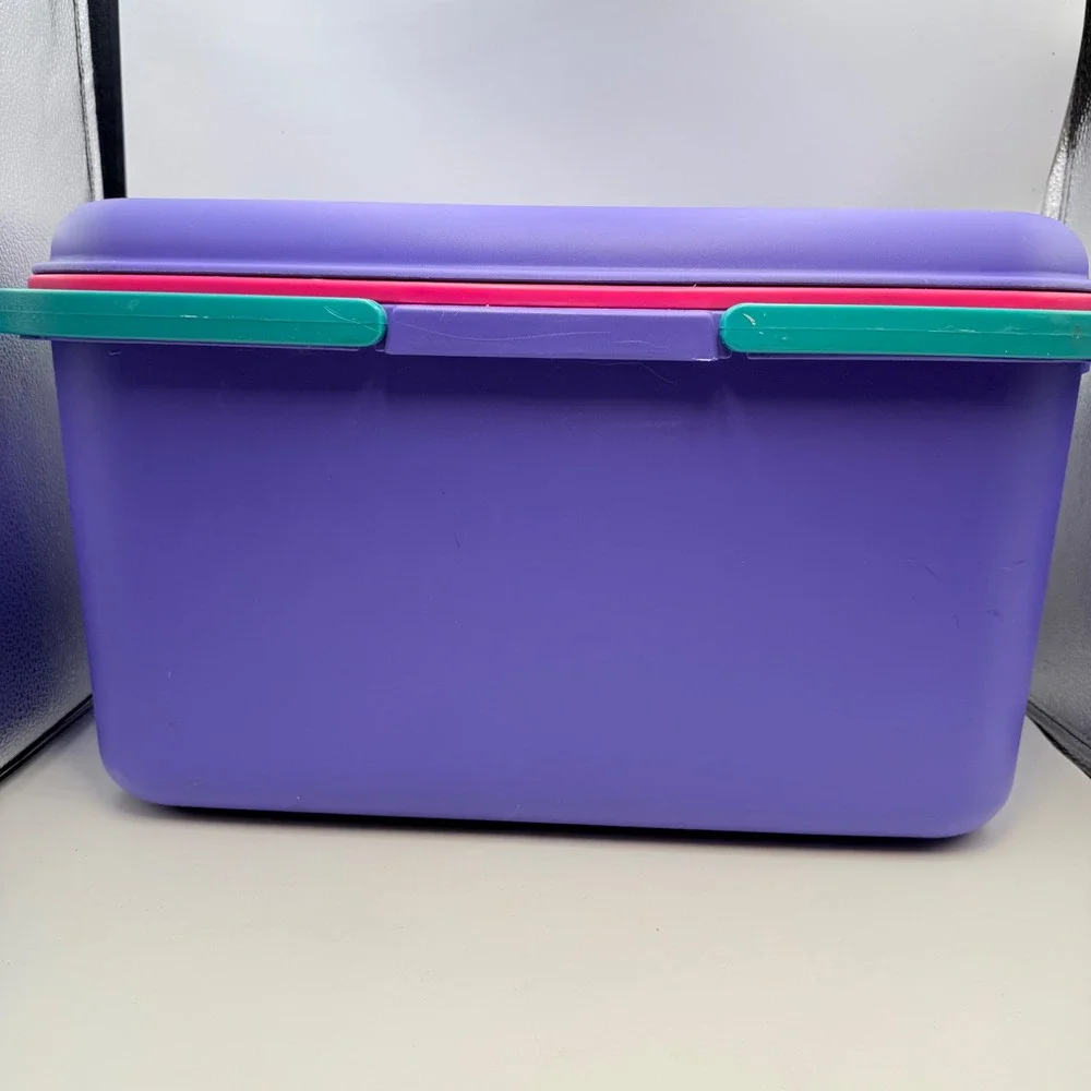 Vintage Eagle Purple Pink Teal Storage Chest with Tray 90s Retro Organizer
